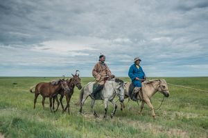Herders ride on horses on the grassland steppe of Eatern Mongolia's Tosonhulstai Nature Reserve.